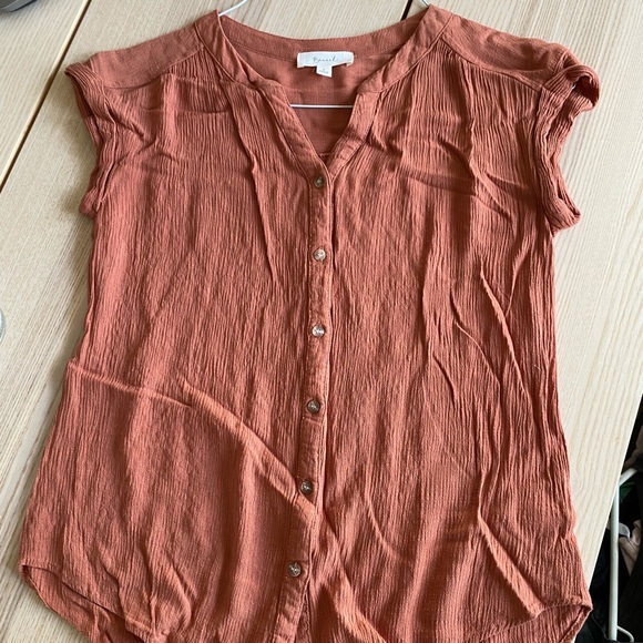 Short Sleeve Button Up in Rust - Picture 3 of 4